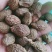 胖大海，大海子个大质量保证，经营各种中药材欢迎咨询合作！