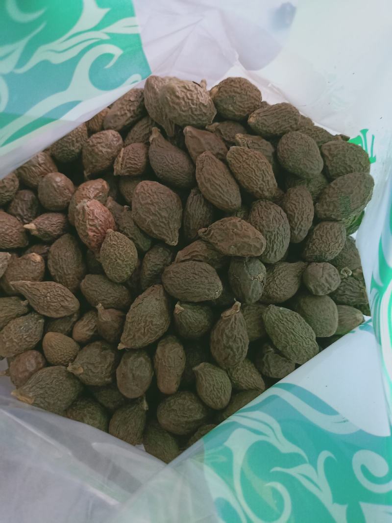 胖大海，大海子个大质量保证，经营各种中药材欢迎咨询合作！