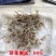 冬牧70黑麦草一年生黑麦草草籽种籽黑麦草种子四季冬天包邮