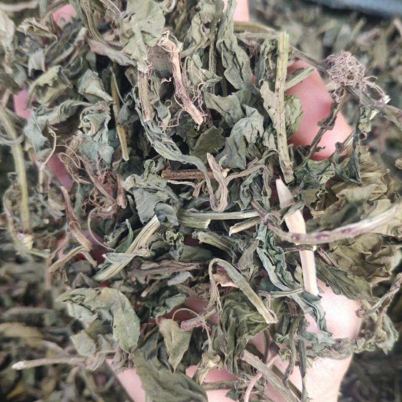 灵香草零陵香干净无杂质量大从优