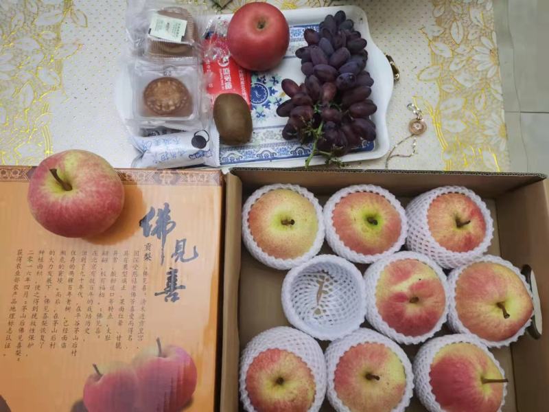 佛见喜品种梨苗梨树苗自家苗圃量大优惠有需要的联系