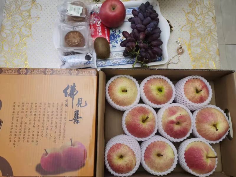 佛见喜品种梨苗梨树苗自家苗圃量大优惠有需要的联系