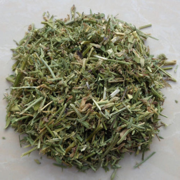 苜蓿草，苜蓿草片干净无杂，经营各种中药材欢迎咨询合作！
