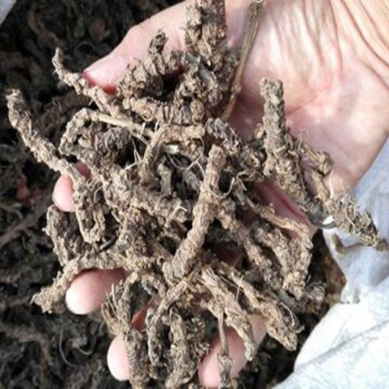 蜘蛛香，正品缬草质量保证，经营各种中药材欢迎咨询合作！