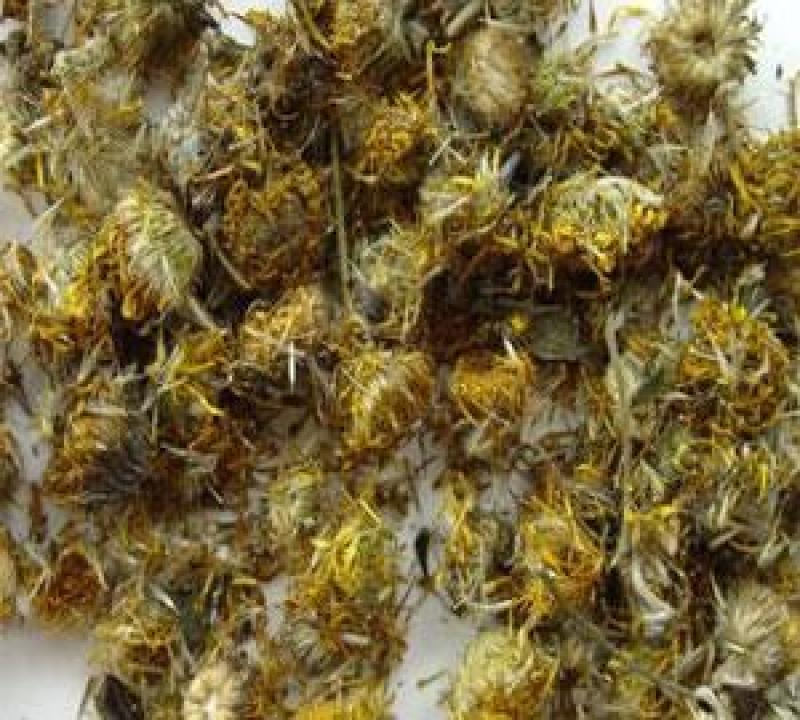 旋覆花，正品金佛草花质量保证，经营各种中药材欢迎咨询合作