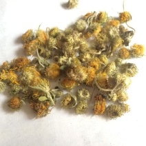 旋覆花，正品金佛草花质量保证，经营各种中药材欢迎咨询合作