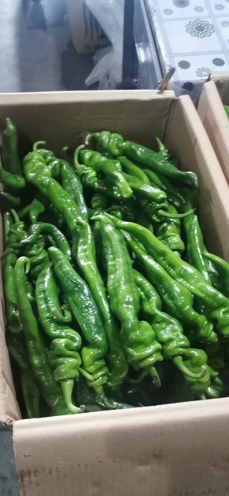 河南省夏邑县精品牛角椒301辣椒大量上市中