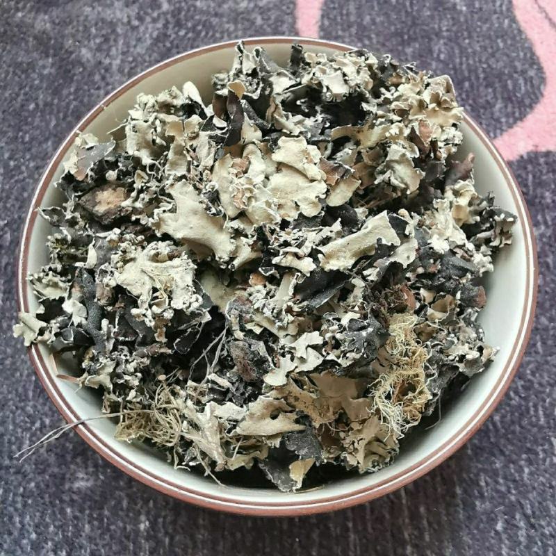 石花石衣地衣中药材量大从优欢迎选购！