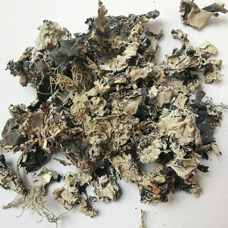 石花石衣地衣中药材量大从优欢迎选购！