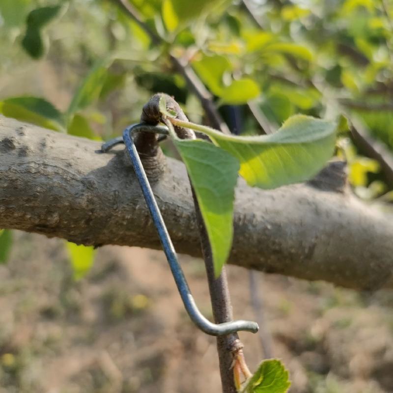 河北永德助改进型12厘米拉枝器开角器厂家直销全国发货