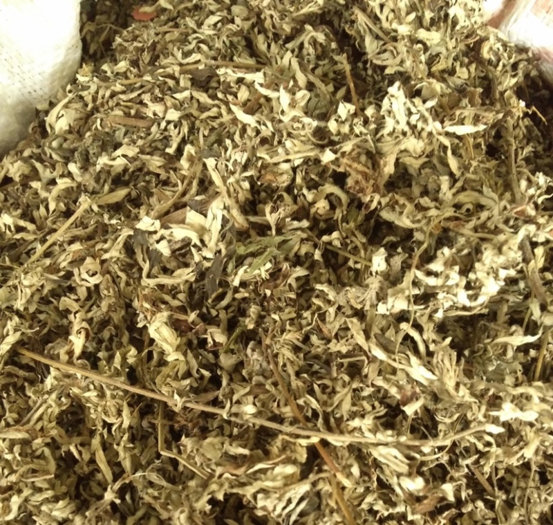 中药材艾叶货品质量保证批发各种中药材