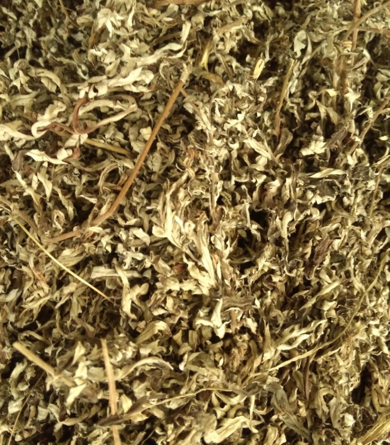 中药材艾叶货品质量保证批发各种中药材