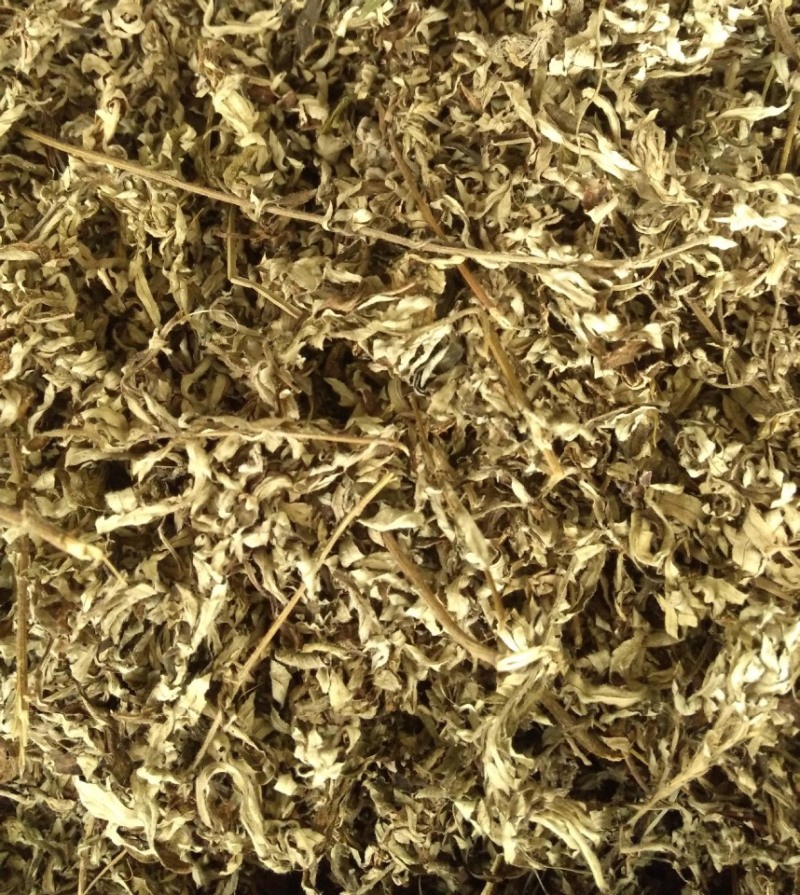 中药材艾叶货品质量保证批发各种中药材