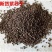 中药材紫苏子货净无杂货品质量保证批发各种中药材