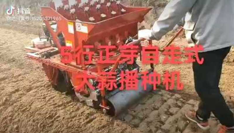 玛丽亚五行自走大蒜正芽播种机