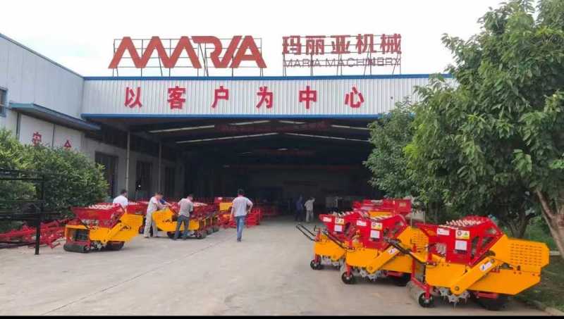 玛丽亚五行自走大蒜正芽播种机