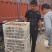 太白山优生区优质金品徐香
