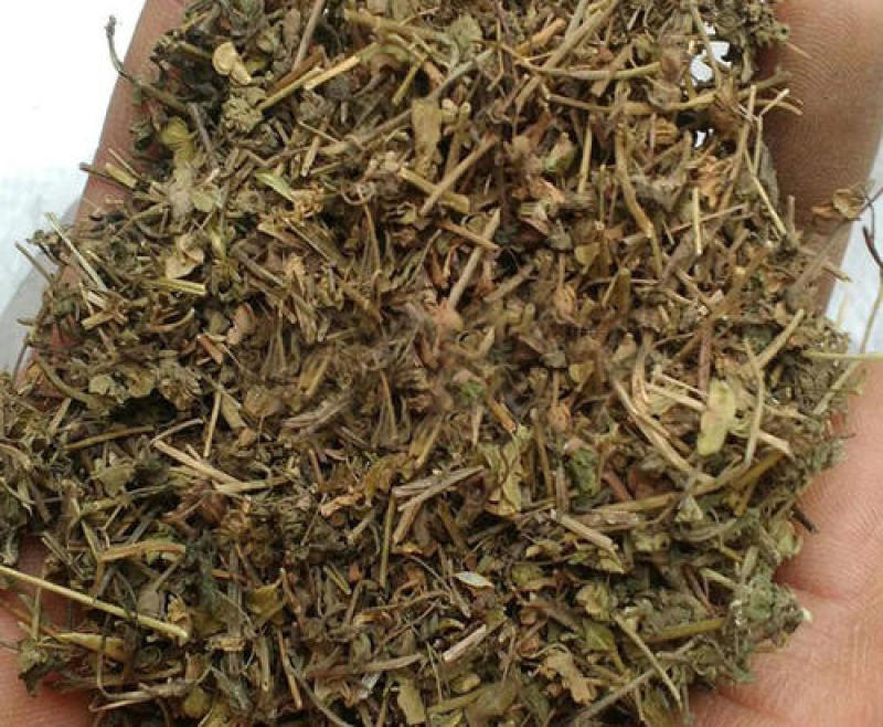 双肾草，双肾草片质量保证现货供应欢迎咨询合作！