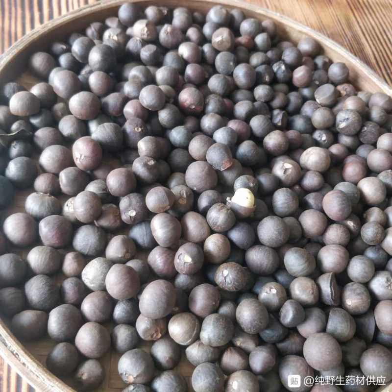福建福鼎白茶茶叶茶仔大量现货批发