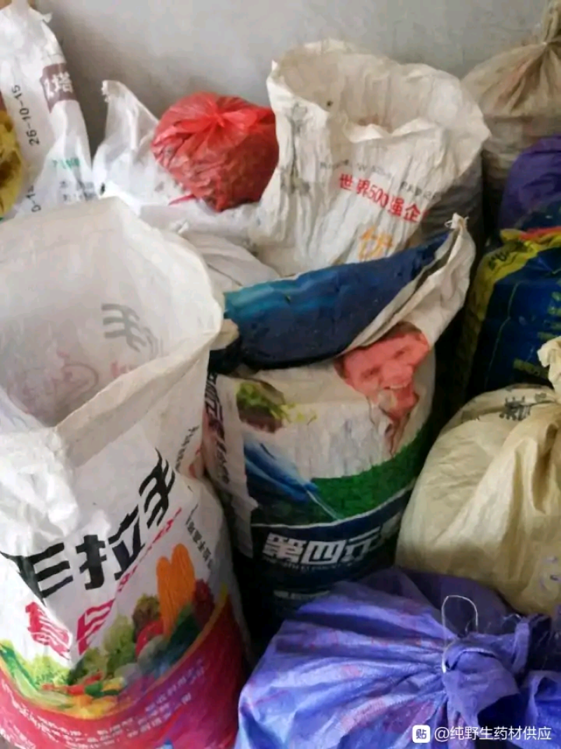 福建福鼎白茶茶叶茶仔大量现货批发