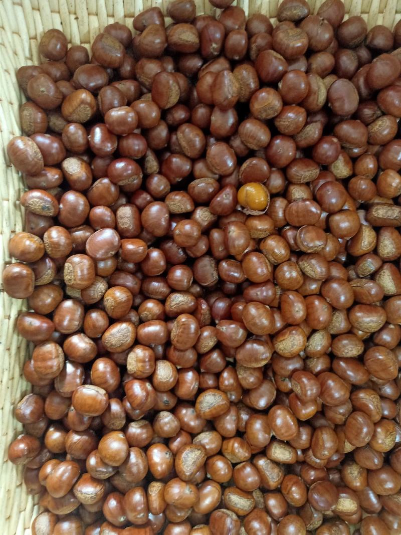 正宗迁西板栗，颗粒饱满，个头均匀，营养价值高