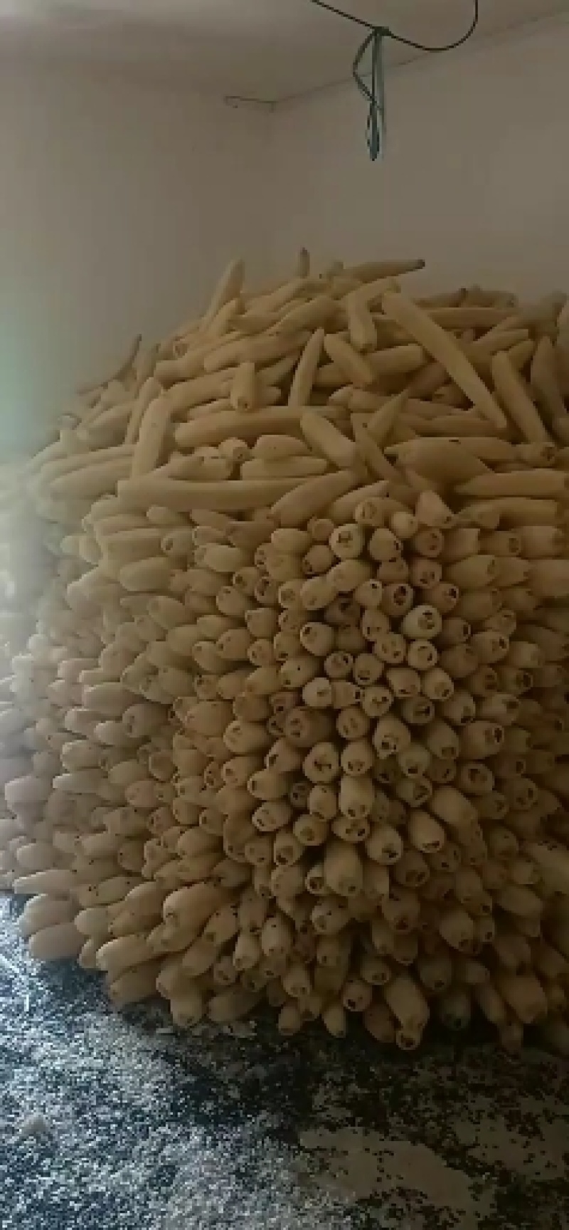 天然丝瓜络刷锅神器厨房家用洗碗清洁丝瓜瓤洗碗布不沾油百洁