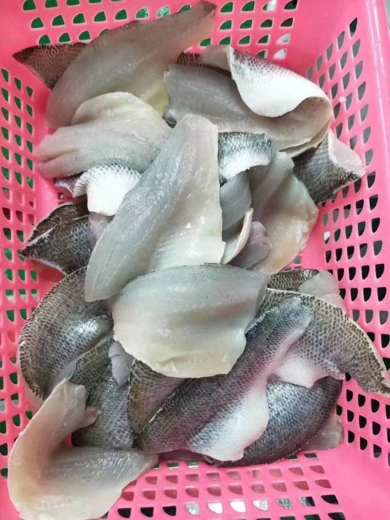源头直供鲈鱼柳，三去鲈鱼,现杀现卖，每天大量供应