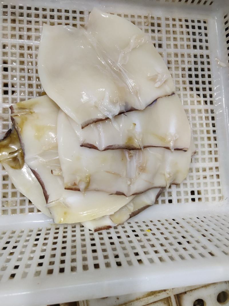 鱿鱼系列生产加工