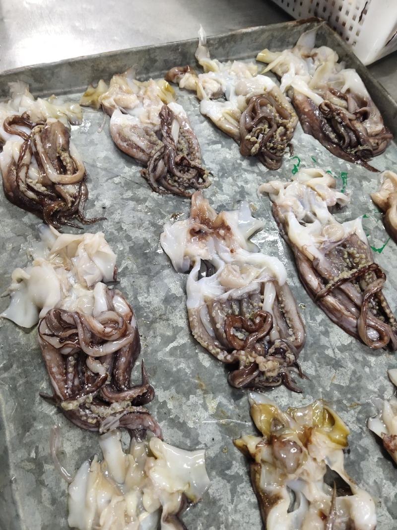鱿鱼系列生产加工