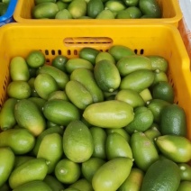 香水柠檬