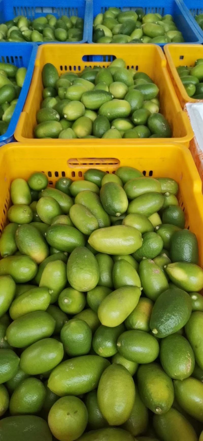 香水柠檬