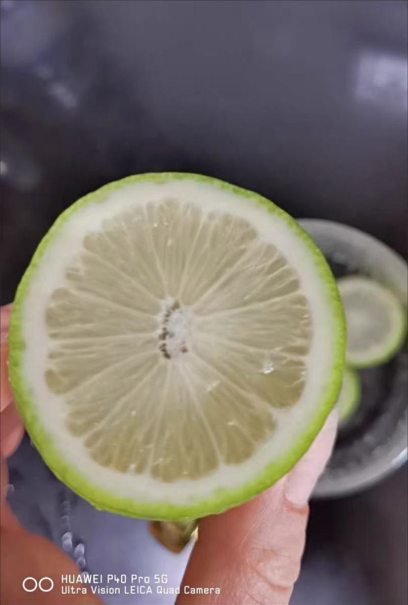 香水柠檬