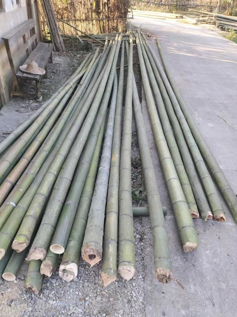 【精品】斑竹竹竿竹节百家竹各个规格支持定做！