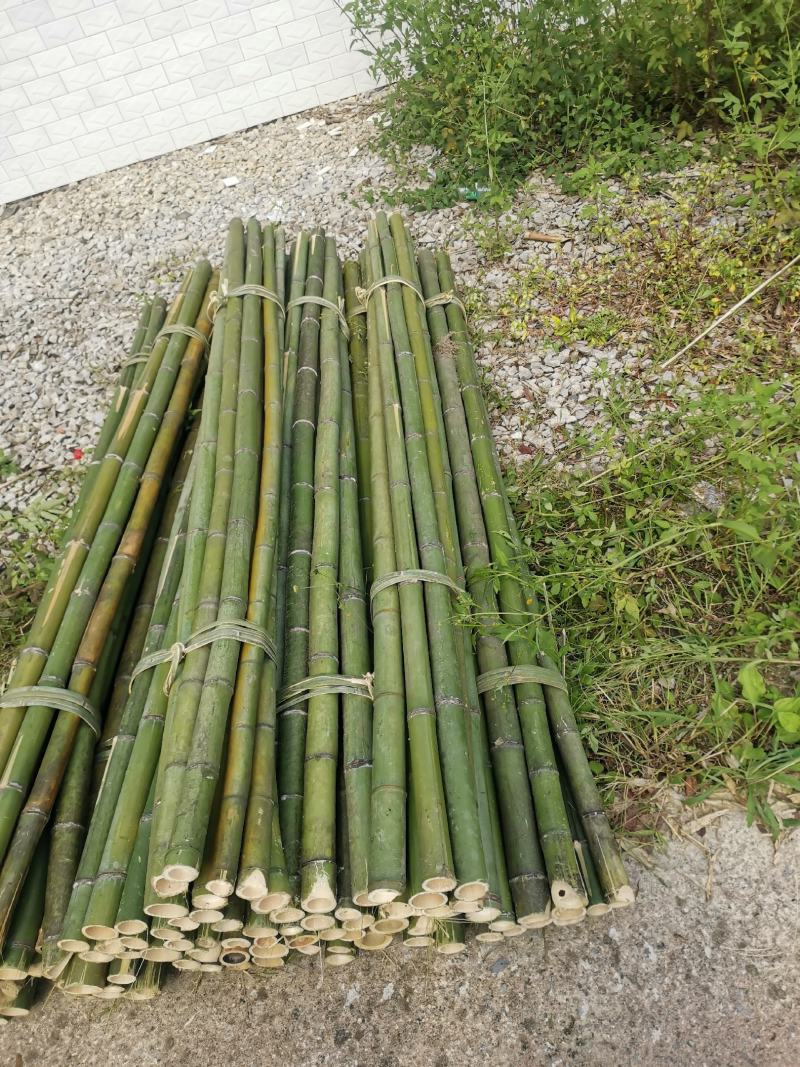 【精品】斑竹竹竿竹节百家竹各个规格支持定做！