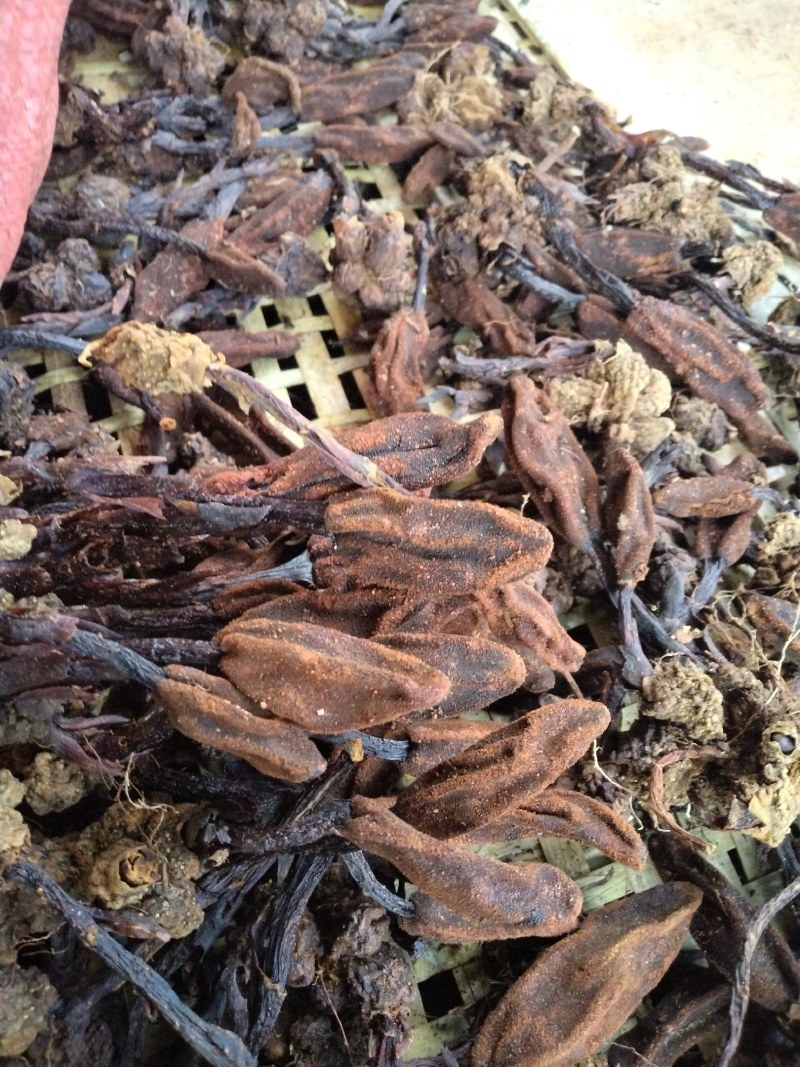 回春草无硫干货