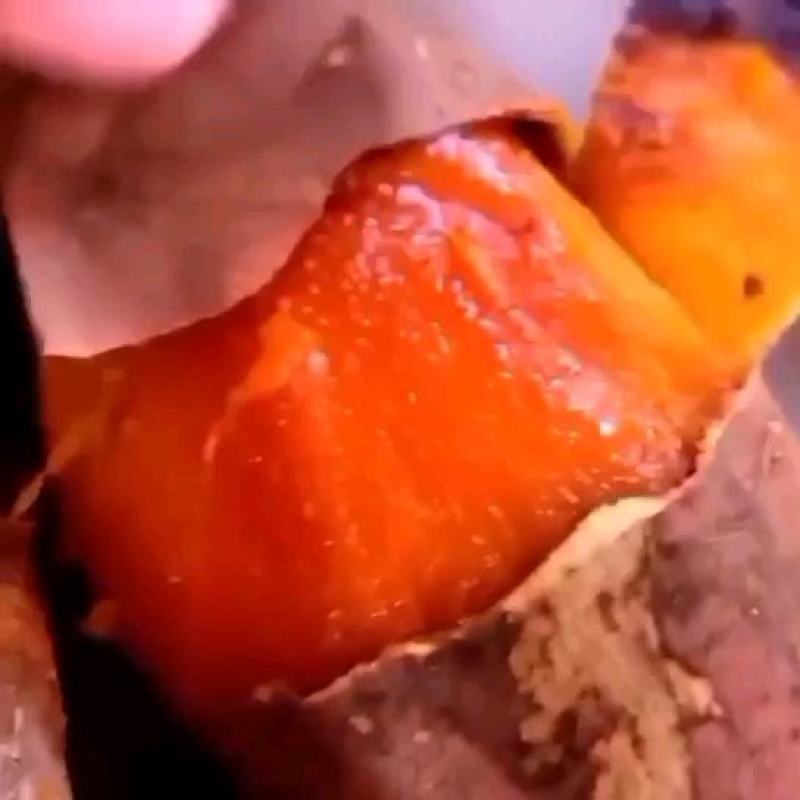 烟薯