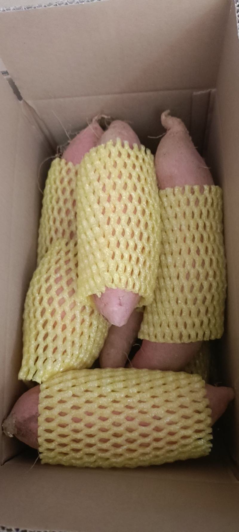 烟薯