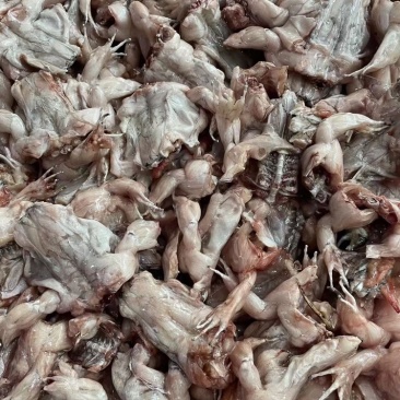 牛蛙前腿，片冻牛蛙前腿