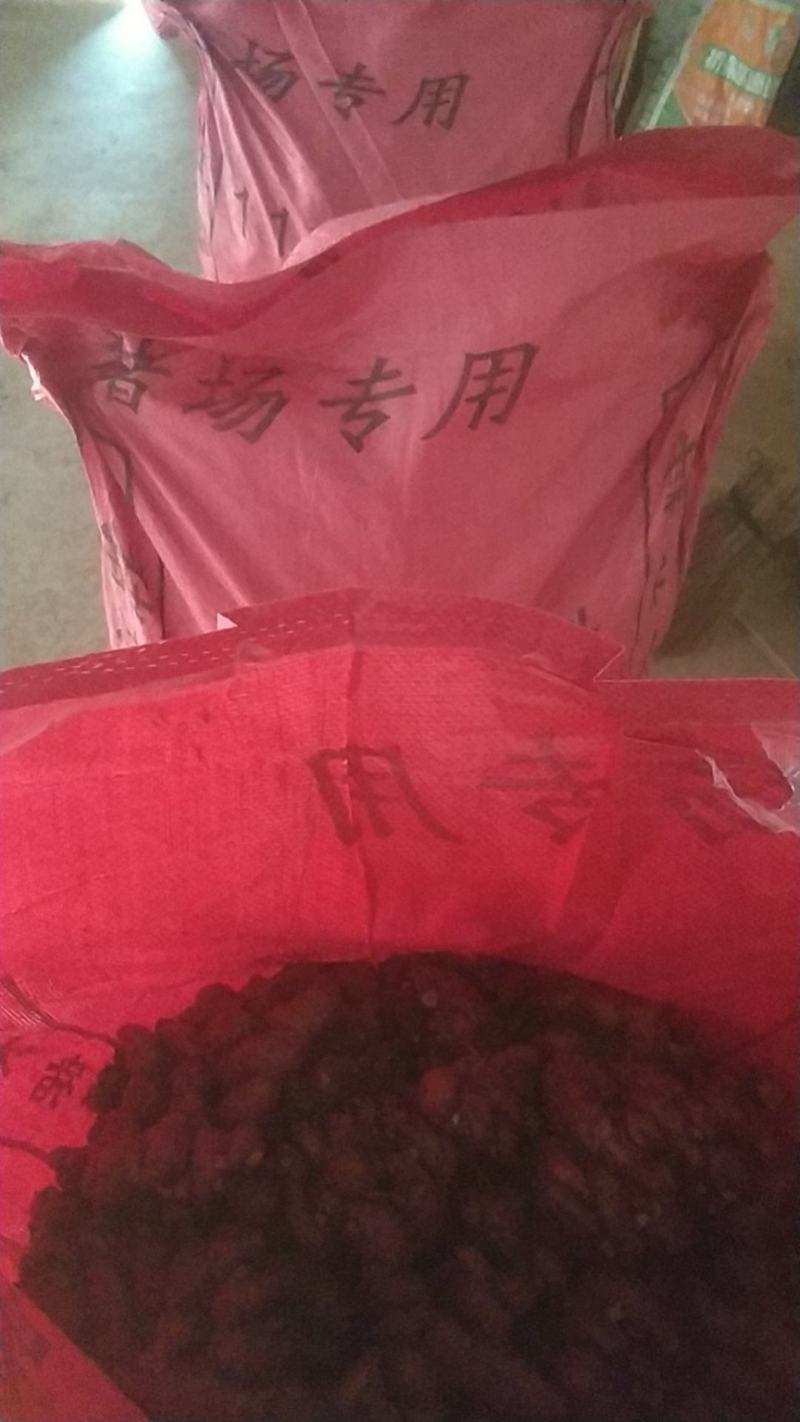 鲜新出海南沙姜有需要可以留言一手货源，质量保证先看货在发