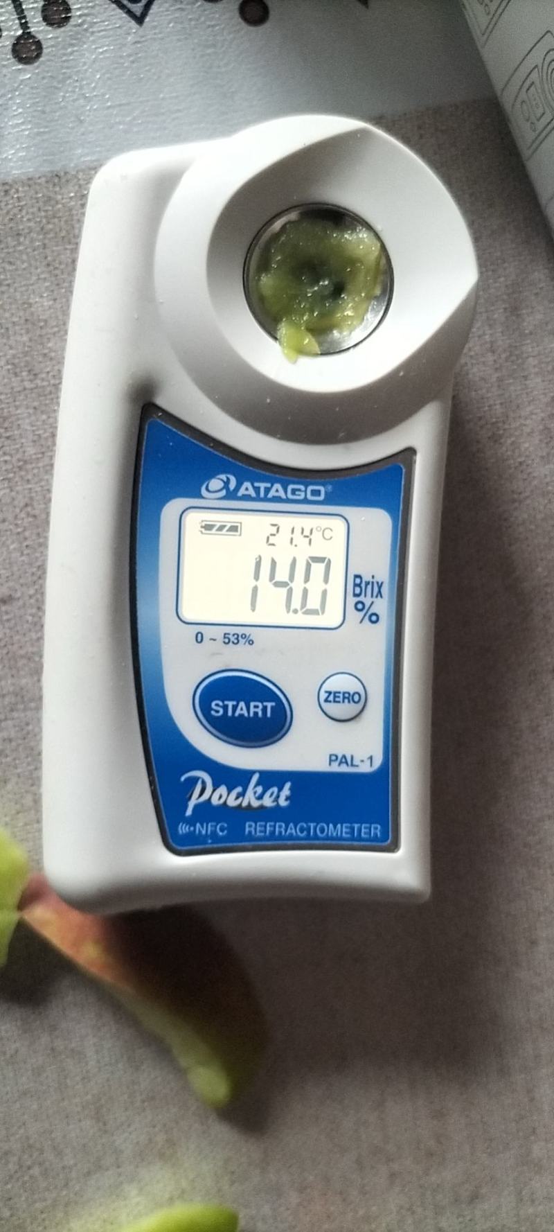 青州离核蜜桃