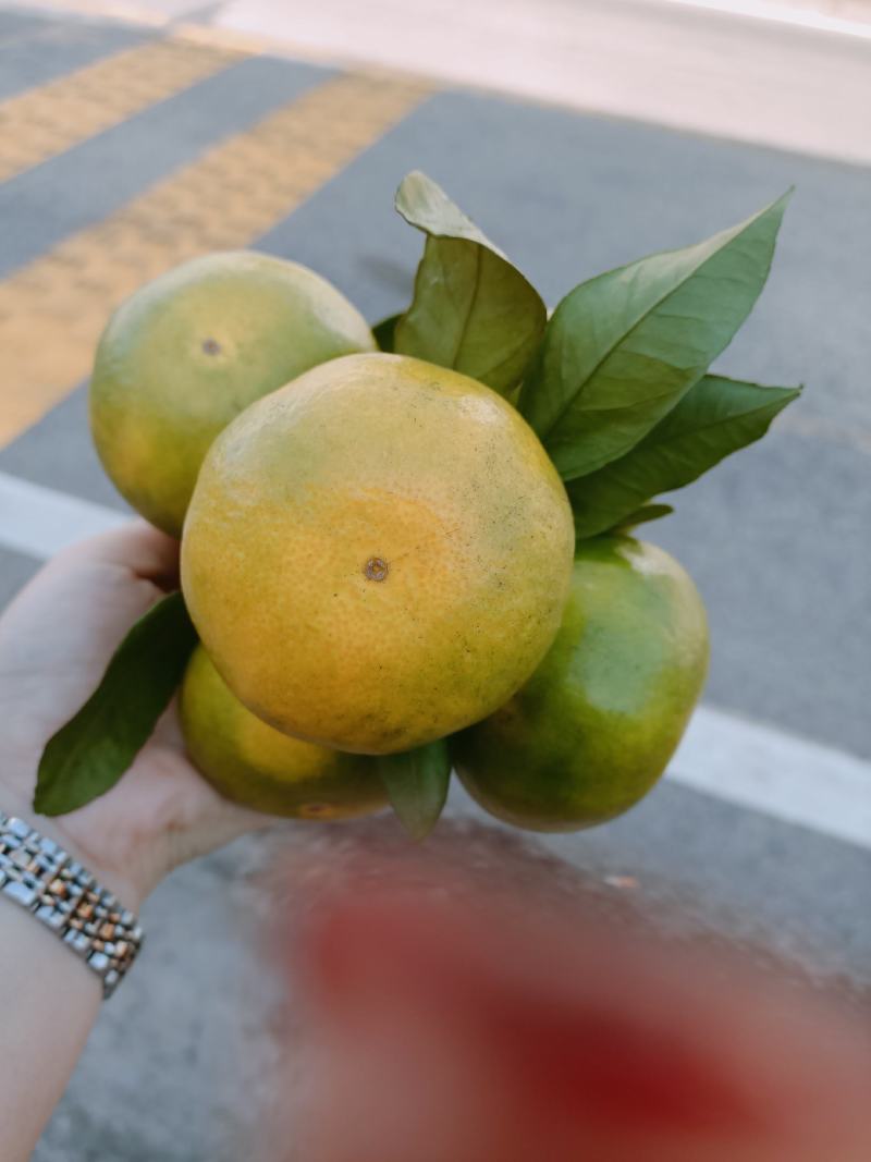 诚信接待每一位客户是我的职责所在，有需要的老板可以联系我