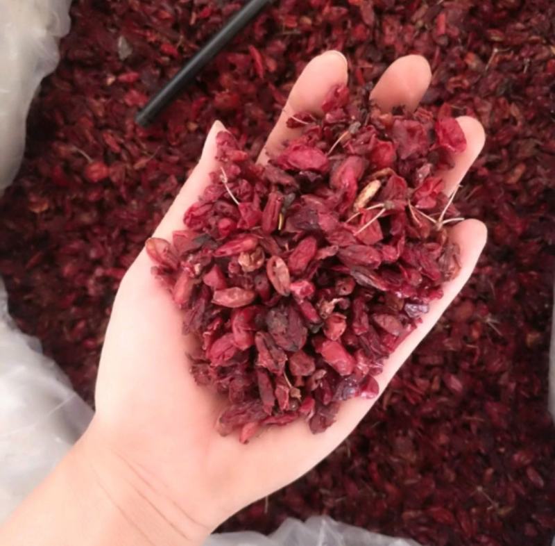 振兴药材批发供应山萸肉规格齐全产地直供一手货源全国发货