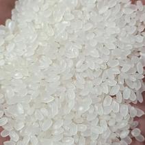 低价出售东北珍珠米价格便宜