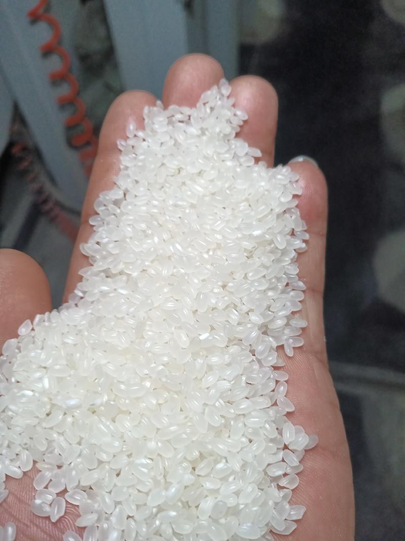 低价出售东北珍珠米价格便宜