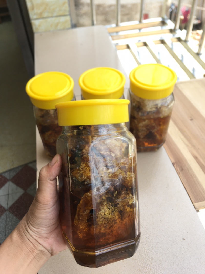 广东高州．深山野蜂蜜．香味浓郁．甜度超好．需要的联系我