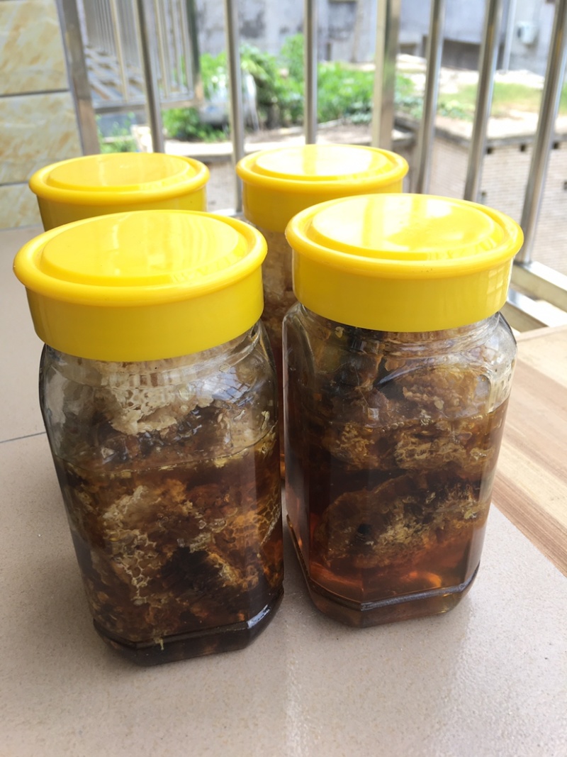 广东高州．深山野蜂蜜．香味浓郁．甜度超好．需要的联系我