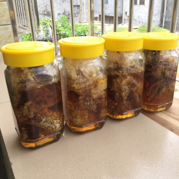 广东高州．深山野蜂蜜．香味浓郁．甜度超好．需要的联系我
