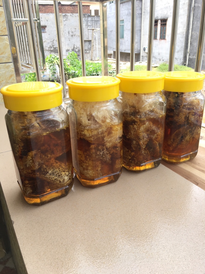 广东高州．深山野蜂蜜．香味浓郁．甜度超好．需要的联系我