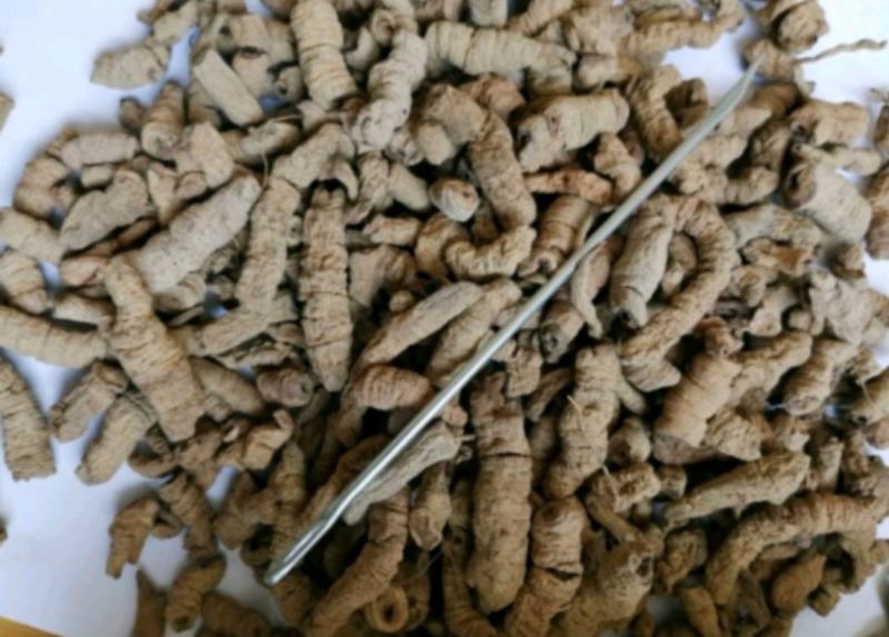 巴戟天统装500g产地广西振兴药材购销站量大从