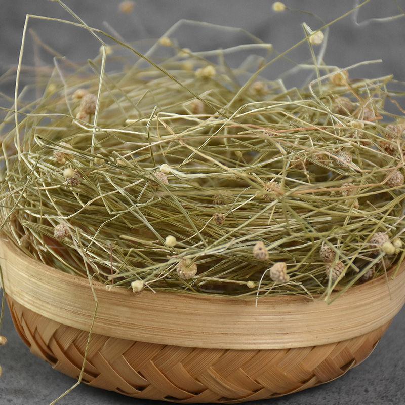 谷精草干净无杂质量大从优